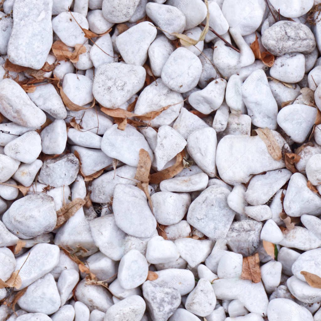 Seamless photo pattern of little white stones with old autumn leaves.