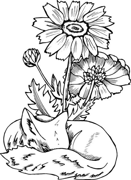 Schwarz-weißes Fuchsmuster. Illustration eines kosmischen Fuchses mit Blumen — Stockvektor