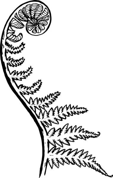 Черно-белое изображение фрактального листа. Спиральный космический папоротник — стоковый вектор