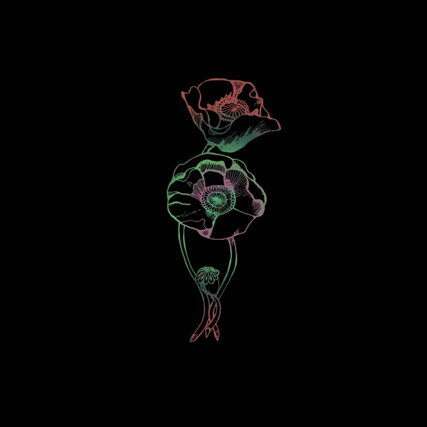 Illustration en couleur d'un motif de fleurs de pavot noir et blanc. Champ de pavot . — Image vectorielle