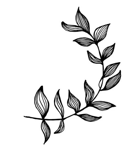 Schwarz-weiße Illustration eines Zweiges mit Blättern. Fraktale Pflanze — Stockvektor
