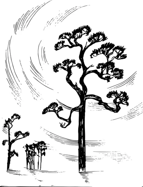 Illustration des arbres et du ciel profond. Idée de tatouage . — Image vectorielle