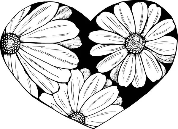 Illustration de marguerites peintes dans un cœur. Une idée pour un tatouage . — Image vectorielle