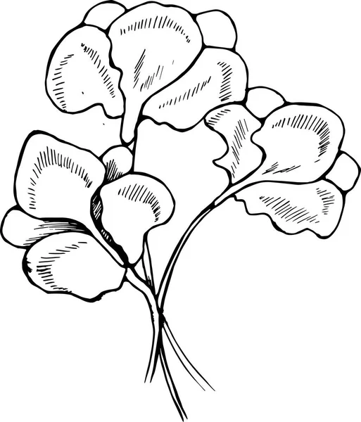 Illustration de fleurs d'iris en style éclosion . — Image vectorielle