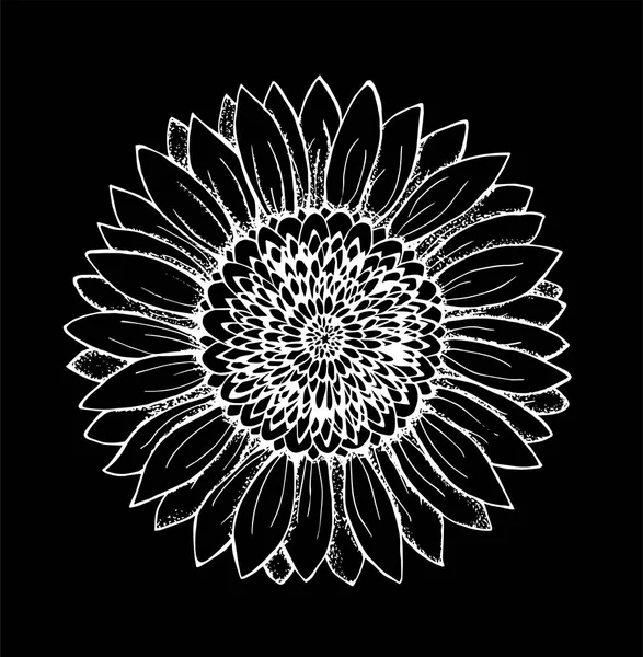 Чорно-біле зображення соняшнику. Квіткова ілюстрація. Крейда на дошці . — стоковий вектор