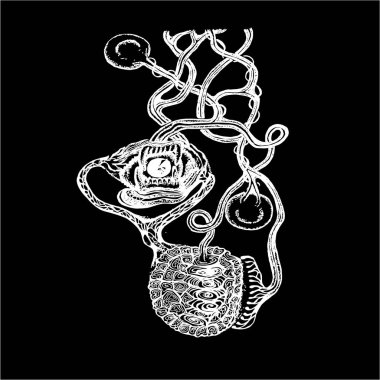 Psychedelic motifsiyah beyaz illüstrasyon. Göz, çene, Kaplumbağa zırhı, tohumlar.