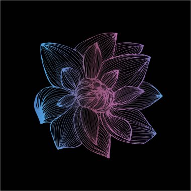 El yazması çizgileriyle yapılan gradient lotus illüstrasyonu. Dövme fikri.