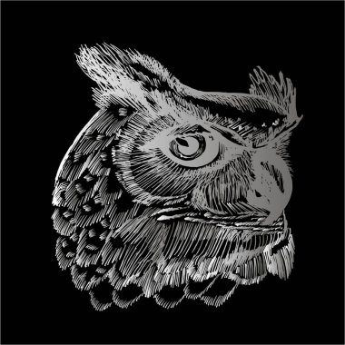 Bir psikodellic Baykuş siyah ve beyaz illüstrasyon. Süs, desen, gece, gezegenler. Bir tahta üzerinde tebeşir.