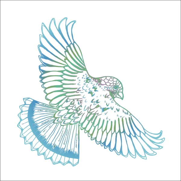 Dibujo a color de un águila. Pájaro en vuelo — Vector de stock