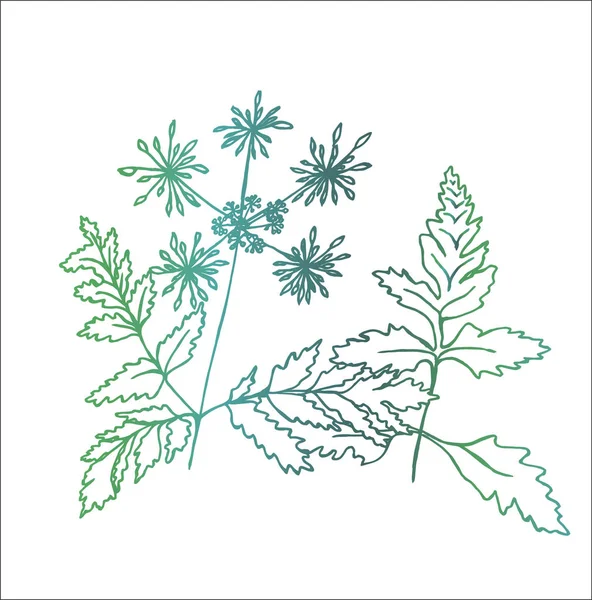 Barevný obrázek fraktální rostliny. Listy a květiny — Stockový vektor
