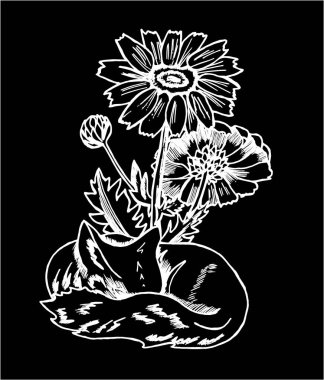 Siyah ve beyaz tilki deseni. Çiçekli kozmik bir tilkinin tasviri. Tahtadaki tebeşir.