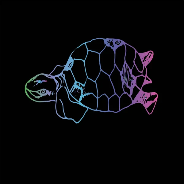 Kleur neon illustratie van een wijze schildpad. Zwemschildpad in beweging met ornament. — Stockvector