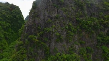 İkonik tropikal Maya Bay Phi Phi Islands, Tayland havadan görünümü