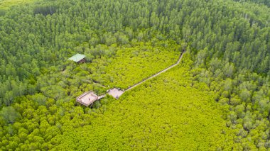 Thung Prong Thong havadan görünümü, Rayong, Tayland   