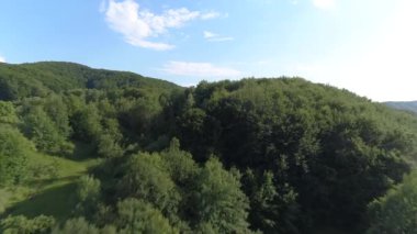 Bir quadrocopter çekim, bir kuş bakışı görünümünden dağlarda orman, yeşil ormanlar ve mavi bir gökyüzü