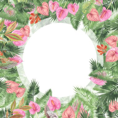 tropikal suluboya arka plan, doğal yaprak, paportnik, yoğun orman, palmiye yaprakları, liana, geleneksel chant, callas, yaklaşık, beyaz arka plan üzerinde