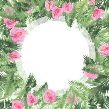 tropikal suluboya arka plan, doğal yaprak, paportnik, yoğun orman, palmiye yaprakları, liana, geleneksel chant, callas, yaklaşık, beyaz arka plan üzerinde