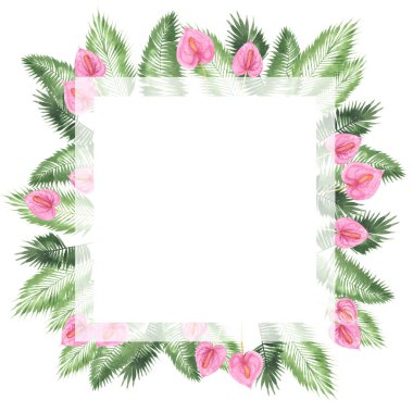 tropikal suluboya arka plan, doğal yaprak, paportnik, yoğun orman, palmiye yaprakları, liana, geleneksel chant, callas, yaklaşık, beyaz arka plan üzerinde