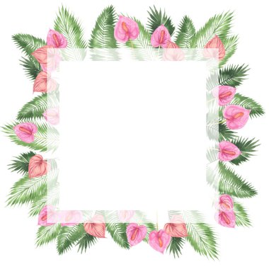 tropikal suluboya arka plan, doğal yaprak, paportnik, yoğun orman, palmiye yaprakları, liana, geleneksel chant, callas, yaklaşık, beyaz arka plan üzerinde