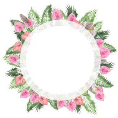 tropikal suluboya arka plan, doğal yaprak, paportnik, yoğun orman, palmiye yaprakları, liana, geleneksel chant, callas, yaklaşık, beyaz arka plan üzerinde