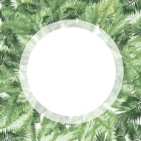 Τροπικό Ακουαρέλα Φόντο Φυσικά Φύλλα Paportnik Πυκνή Ζούγκλα Palm Φύλλα — Φωτογραφία Αρχείου