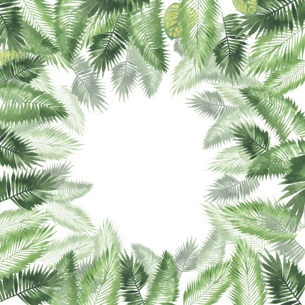 Tropical Watercolor Background Natural Leaves Paportnik Dense Jungle Palm Leaves — Stock Photo, Image