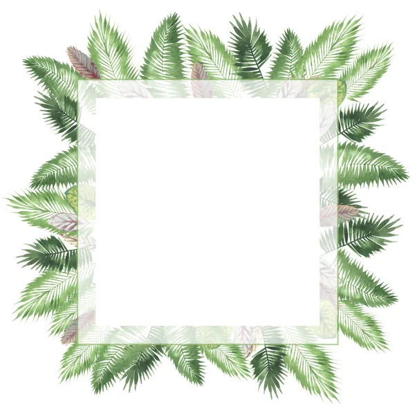 熱帯水彩画背景 自然の葉 Paportnik 密なジャングル シュロの葉 伝統的な聖歌 カラス つる植物 白い背景の上 — ストック写真