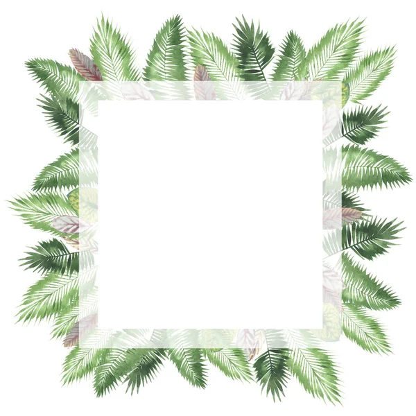 Tropische Aquarel Achtergrond Natuurlijke Bladeren Paportnik Dichte Jungle Palm Leaves — Stockfoto