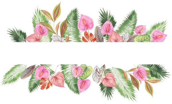 Tropischer Aquarellhintergrund Natürliche Blätter Paportnik Dichter Dschungel Palmblätter Liane Traditioneller — Stockfoto