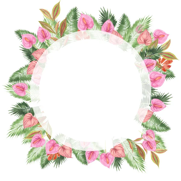 tropikal suluboya arka plan, doğal yaprak, paportnik, yoğun orman, palmiye yaprakları, liana, geleneksel chant, callas, yaklaşık, beyaz arka plan üzerinde