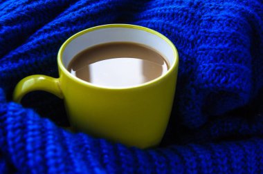 kahve sonbaharında bir eşarp üzerinde