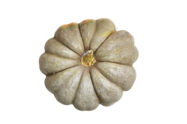 Beyaz bir arkaplanda kabak izole