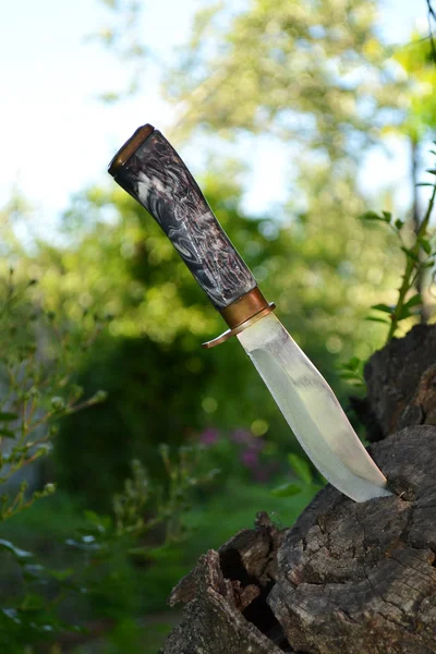 Hunting Knife Survival Knife Gray Handle Tree Stump — Stock Photo, Image