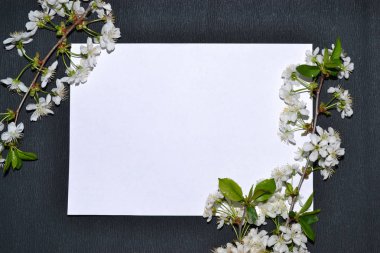 Çerçeve bir parça kağıt üzerinde siyah bir arka plan etrafında beyaz çiçek.