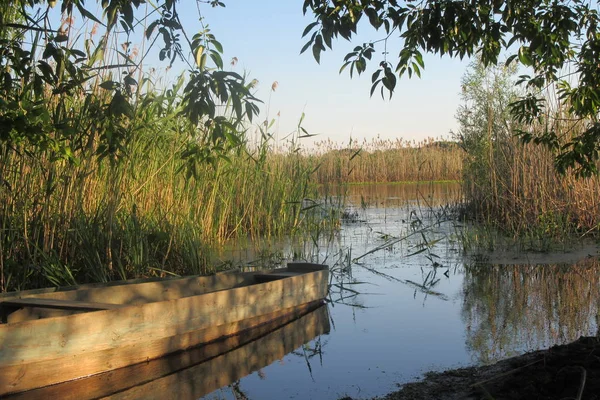 Güzel sıcak yaz günü yakın göl orada ar tekne ve güzel blu yaz gökyüzü. Ağaçlar içinde belgili tanımlık geçmiş. Nehrin güzel görünüm. 