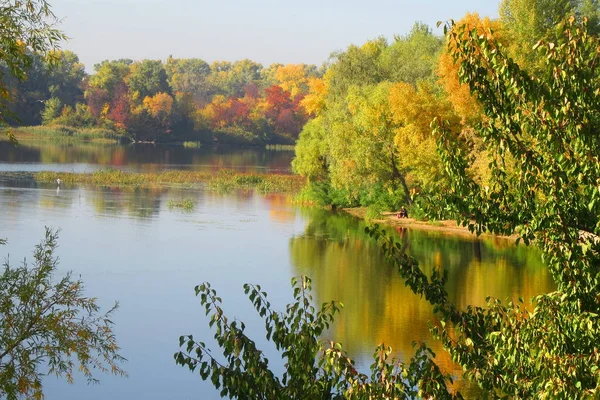 Autumn landscape - river with autumn golden trees at the bank. Autumn colorful forest nature.