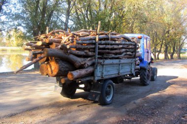 Bir römork ile küçük bir traktör ahşap günlükleri taşır. Günlüğe kaydetme ve nakliye için-ahşap.