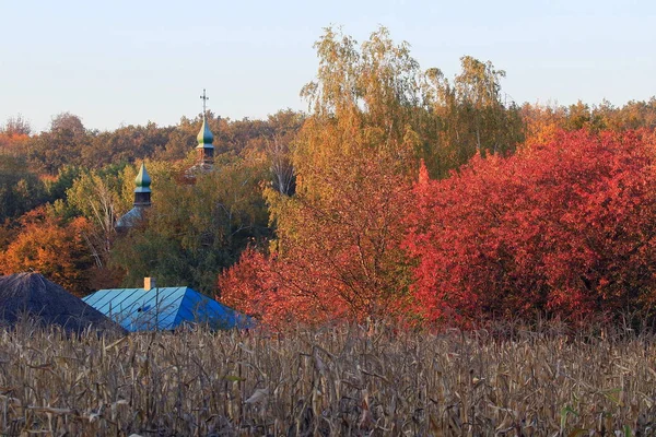 Древняя Церковь Саду Красочная Осень Купола Старой Церкви Среди Зеленых — стоковое фото