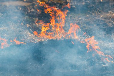 Baharda, orman yangını itfaiye kavga ediyorlar. Gündüzleri orman yangını söndürmek çalışıyorlar. Duman ve orman massif yanan ateşi.