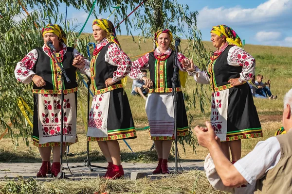 Kiev Ucrania Julio 2019 Tradicional Fiesta Eslava Anual Ivan Kupala —  Fotos de Stock