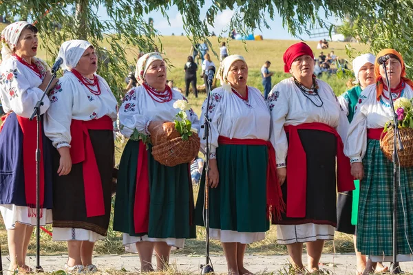 Киев Украина Июля 2019 Года Традиционный Ежегодный Славянский Праздник Ивана — стоковое фото