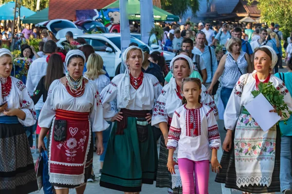 キエフ ウクライナ 2019年7月6日 大きなフィールド上の野外でイワン クパラの伝統的な毎年恒例のスラブの休日 真夏の日民俗芸術家は国民的衣装で演奏します ミサのお祝い — ストック写真