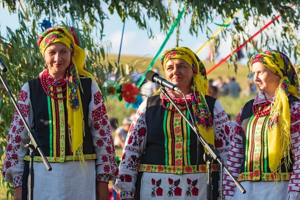 Kiev Ucrânia Julho 2019 Tradicional Feriado Eslavo Anual Ivan Kupala — Fotografia de Stock