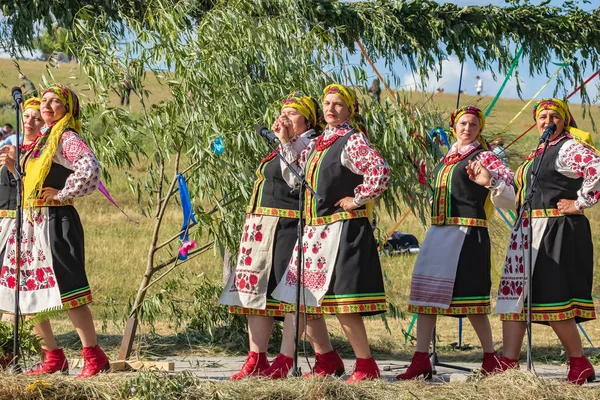 Kiev Ukraina Juli 2019 Den Traditionella Årliga Slaviska Semester Ivan — Stockfoto