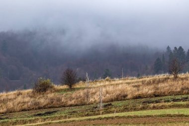 Yüksek dağların tepeleri bulutlarla gizlidir. Sis. Sonbahar manzarası. Panoramik görünüm.