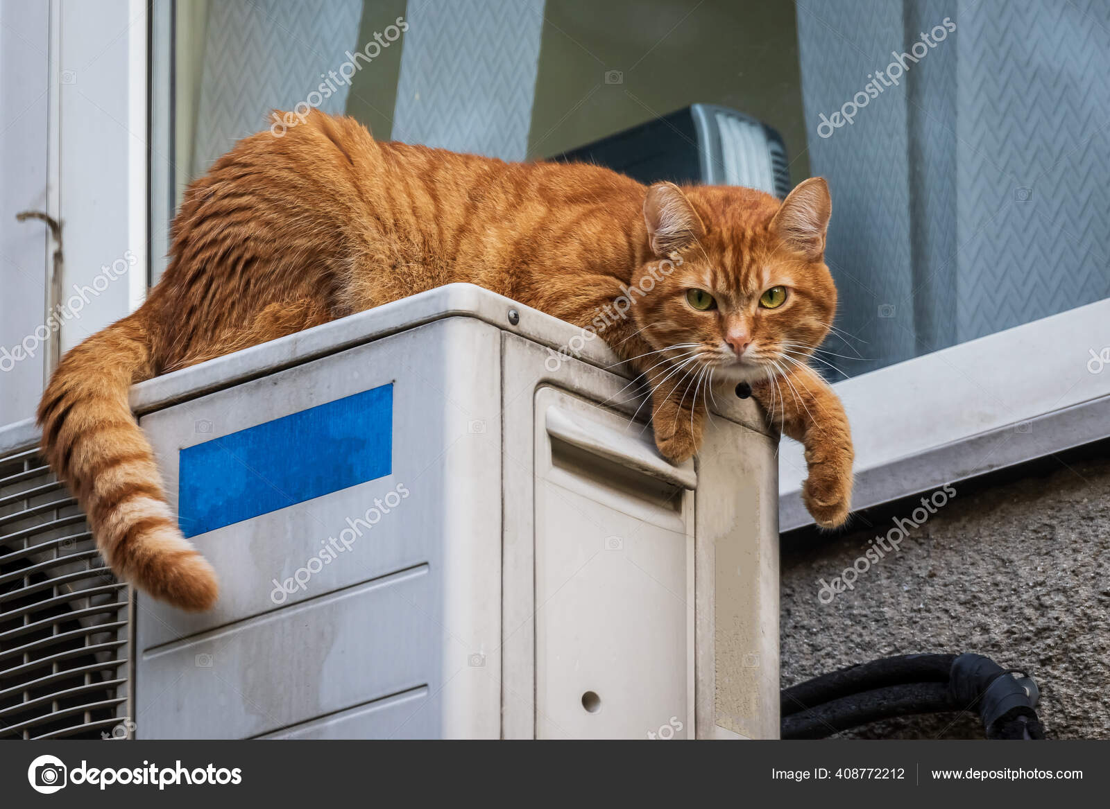 三楼的空调外壳上躺着一只漂亮的生姜猫仔细检查过路的人底部视图 图库照片 C S Borisovich