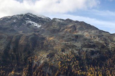 Timmelsjoch Geçidi 'nin engebeli, karla kaplı zirveleri yumuşak bulutlarla kaplı bir gökyüzüne uzanıyor. Aşağıda, altın sonbahar ağaçları sıcak bir kontrastla yamaçlara dağılır..