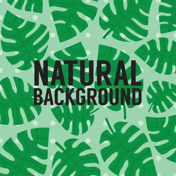 Illustration vectorielle exotique de fond de bannière tropicale verte de feuilles — Image vectorielle
