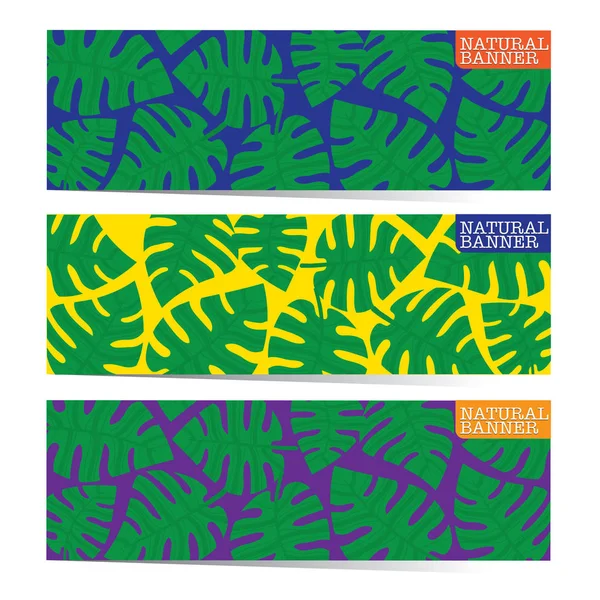 Bannière horizontale Feuille tropicale naturelle — Image vectorielle