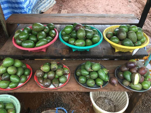 Avocavo Paksong Champasak Laos Pdr — Foto Stock